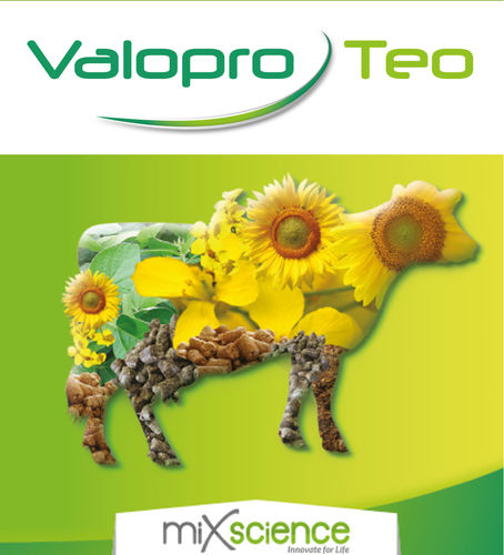 Пищевая присадка для крупного рогатого скота - Valopro Teo - MiXscience - сухая