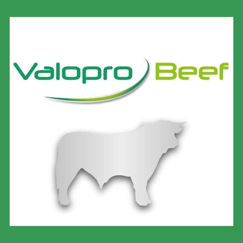Кормовая добавка для животных - Valopro Beef - MiXscience - говядина / для протеинов / сухая