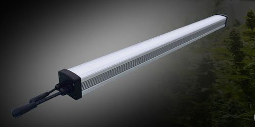 Освещение для теплицы - Solify Uni - HarveLite Lighting - LED / для внутреннего пространства