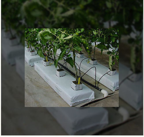 Субстрат растений кокосовый торф - Kiyolanka Coco Products PVT LTD - в мешке
