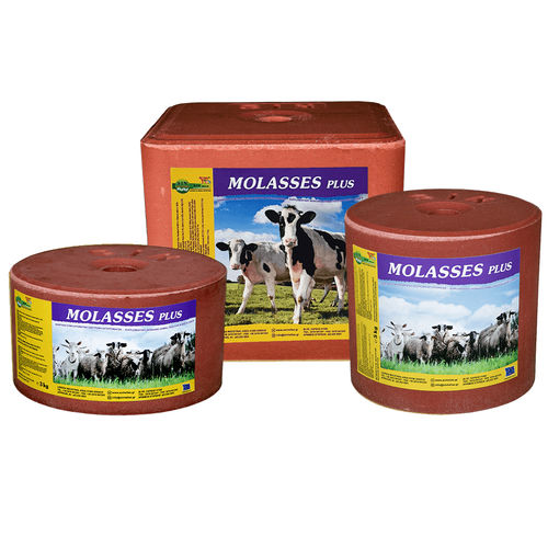 Лизунец для крупного рогатого скота - MOLASSES PLUS - S.I.N. HELLAS - для овец / для коз / для лошадей