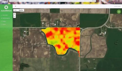 Программное обеспечение для управления - Augmenta Agriculture Technologies - для контроля / для анализа / для картографии