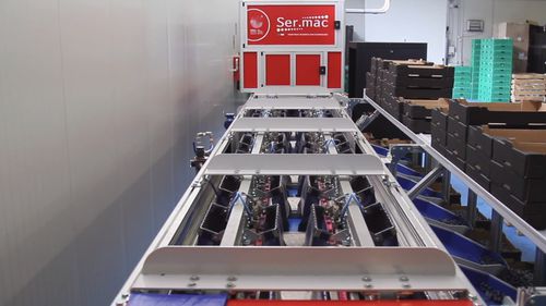 Сортировщик для ягод - Quadra Machinery - оптический