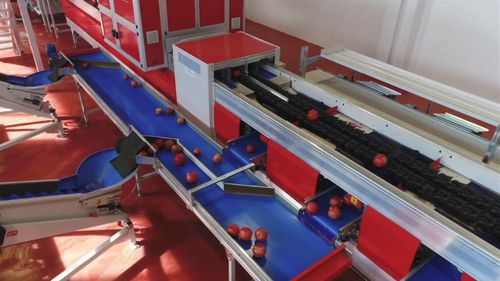 Сортировщик для гранат - Quadra Machinery - оптический