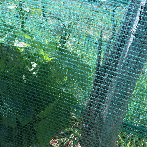 Сетка для винограда - GRAPE PROTECT - ALPHATEX - ветрозащитная / для защиты от града / из ПЭНД