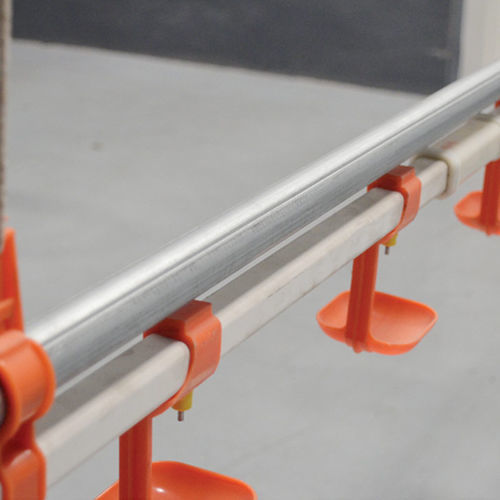 Водопойный желоб для домашней птицы - Cangzhou Phoenix Breeding Equipment Co., Ltd. - автоматический / мультидоступ / с соской