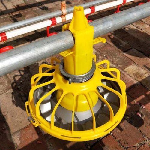 Тарелка для домашней птицы - Cangzhou Phoenix Breeding Equipment Co., Ltd. - из пластика / мультидоступ / круговая
