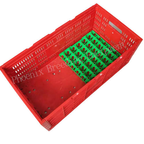 Ящик для яиц для упаковки - Ph-150 - Cangzhou Phoenix Breeding Equipment Co., Ltd. - для куриных яиц / из пластика