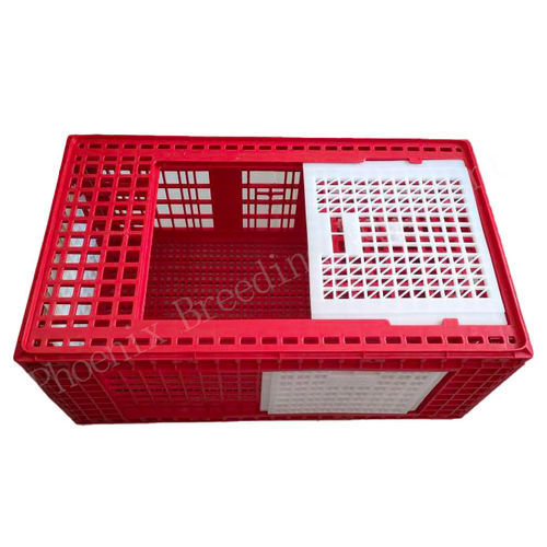 Клетка для транспортировки для индеек - Ph-274 - Cangzhou Phoenix Breeding Equipment Co., Ltd. - для кур / из пластика