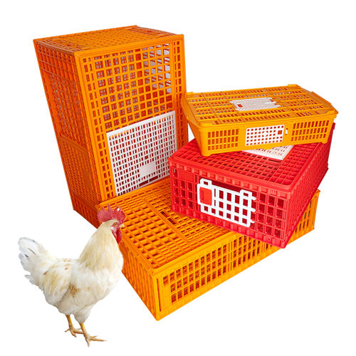 Клетка для транспортировки для индеек - Cangzhou Phoenix Breeding Equipment Co., Ltd. - для кур / для куропаток