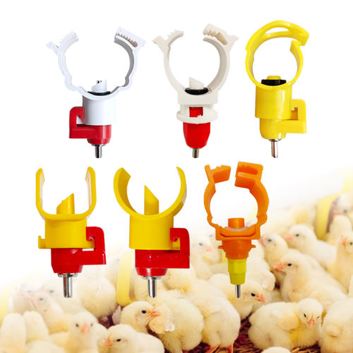 Соска для вскармливания для домашней птицы - Cangzhou Phoenix Breeding Equipment Co., Ltd. - для кур-несушек / из нержавеющей стали / из пластика