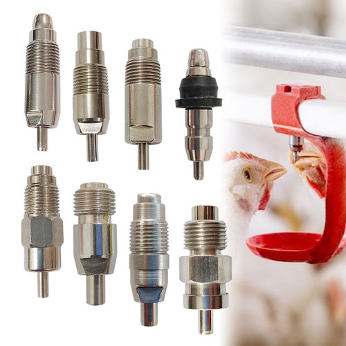 Соска для вскармливания из нержавеющей стали - Cangzhou Phoenix Breeding Equipment Co., Ltd. - для домашней птицы / для мелких грызунов / для кур-несушек