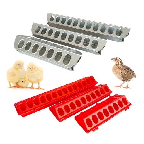 Кормушка для цыплят - Cangzhou Phoenix Breeding Equipment Co., Ltd. - для голубей / из пластика / из металла