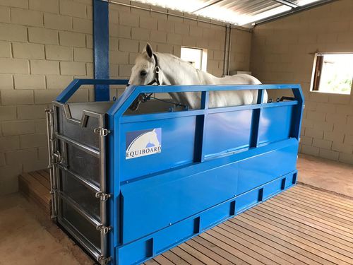 Беговая дорожка для лошадей для воды - HE 3500 - EQUIBOARD - ступень