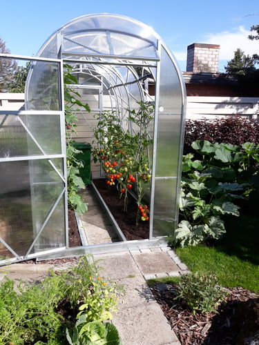Теплица с одним сводом - ES 1.5 - Ecoslider Greenhouses and PremiFarm Aeroponic Vert - для садоводства / стальная конструкция / со стальной конструкцией