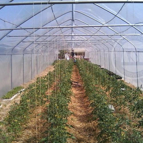 Однотуннельная теплица - Agroservis - proizvodnja d.o.o. - для садоводства / стальная конструкция / постоянная