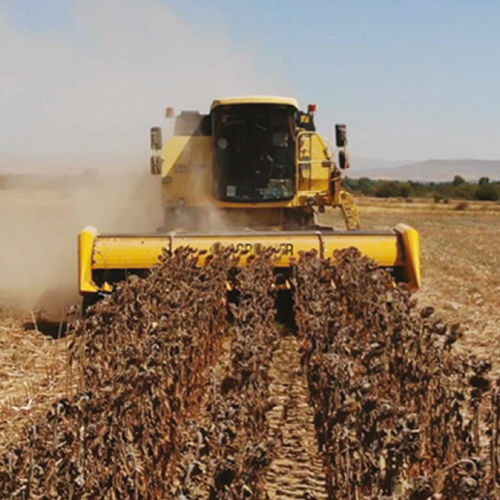 Головка для сбора урожая для подсолнечника - FreeSun series - AGRO TIGER - жесткая