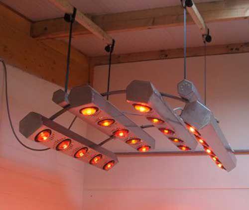 Солярий для лошадей для сушки - Light series - FMBs Therapy Systems