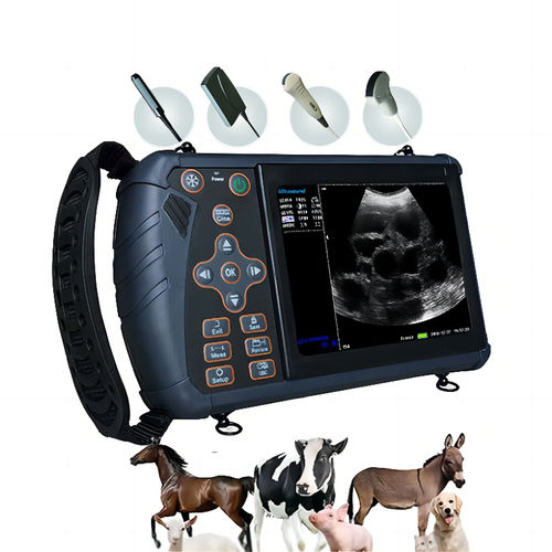 Переносной ветеринарный эхограф - S1-VET - Dawei Veterinary Medical (jiangsu) co., ltd. - для крупных животных / линейный / выпуклый