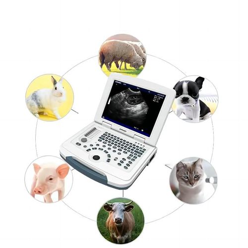 Переносной ветеринарный эхограф - MU10 - Dawei Veterinary Medical (jiangsu) co., ltd. - для крупных животных / для небольших животных / для собак