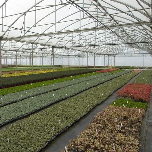 Теплица с несколькими сводами - Gothic  - Resif Greenhouse Technologies - из пластика / стальная конструкция / постоянная