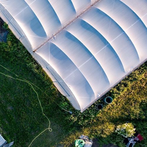 Многотуннельная теплица - Resif Greenhouse Technologies - стальная конструкция / постоянная / со стальной конструкцией