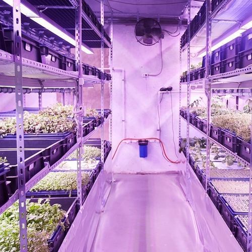 Камера для растений для роста растений - Resif Greenhouse Technologies - в контейнере / вертикальная