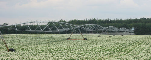 Центральное круговая дождевальная машина - Oneaqua China  - мобильное / на колесах