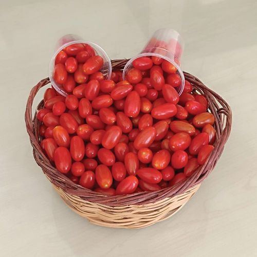Красное семена томатов черри - ORIGINAL - Manier Seeds - круглое
