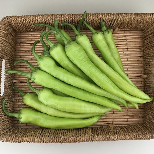 Раннее семена сладкого перца - SELİN - Manier Seeds - зеленое