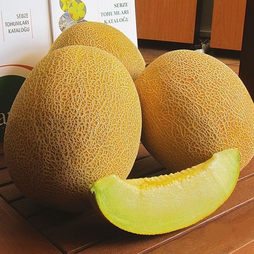 Ранний семена дыни - ŞIRA - Manier Seeds - желтый