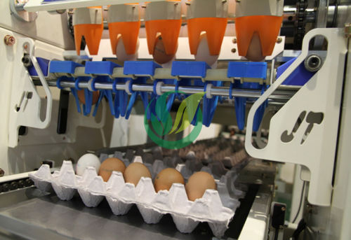 Упаковочная машина для яиц - Chengdu Shengxing Poultry Machinery Co., Ltd. - автоматическая