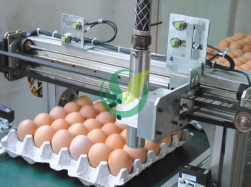 Автоматическая маркировочная машина для яиц - Chengdu Shengxing Poultry Machinery Co., Ltd.