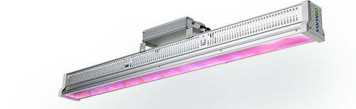 Освещение для теплицы - hawk - Fujian Sanan SINO-SCIENCE Photobiotech Co., Ltd. - LED