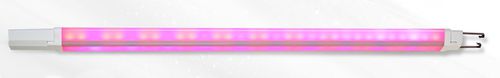 Освещение для теплицы - Flamingo - Fujian Sanan SINO-SCIENCE Photobiotech Co., Ltd. - LED / для внутреннего пространства / красная