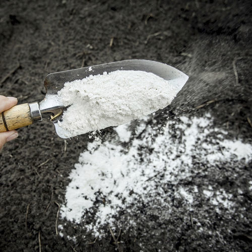 Органический почвоулучшитель - Raw dolomite lime - Mineravi - против кислотности почвы / для структурирования грунта / для укрепления развития корневой системы