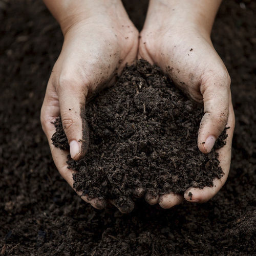 Почвоулучшитель компост - Bio Terra Mix  - Mineravi - органический / для структурирования грунта / фертильность почвы