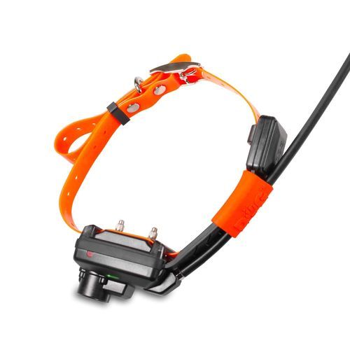 Хомут GPS - X25TB  - VNT ELECTRONICS S.R.O. - шея / электронный / для дрессировки
