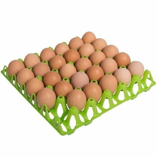 Контейнер для яиц для транспортировки - 30759 - Copele - для куриных яиц / из пластика
