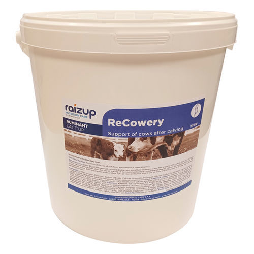 Кормовая добавка для животных - ReCowery - RAIZUP NUTRITION CARE - для крупного рогатого скота / витамины / богатая микроэлементами