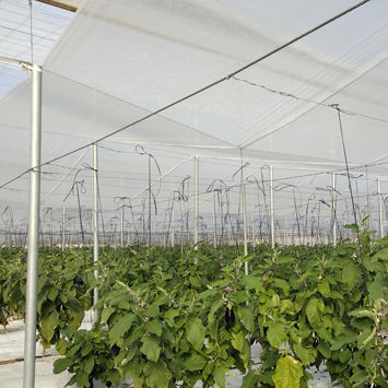 Нить для сельского хозяйства для поддержки растений - Fabricación de agrotextiles y distribución de Accesorios para Invernaderos. - для растениеводства
