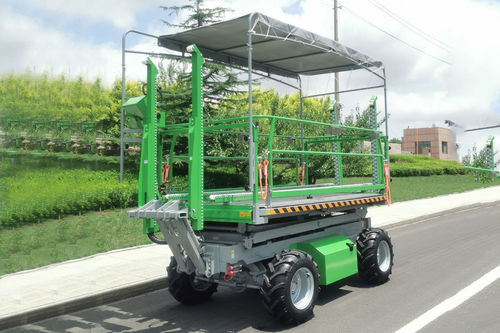 Тележка для сбора урожая с гидравлическим приводом - 4GP-1200DA PE - Weihai ZY Modern Agricultural Equipment Technology Co.,Ltd - для фруктового сада / самоходная / газойль