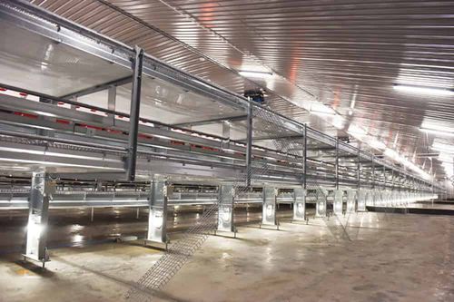 Вольерная система содержания птиц бесклеточное содержание - Open Aviary - POTTERS POULTRY LTD - для кур-несушек / двухуровневая / для интерьера