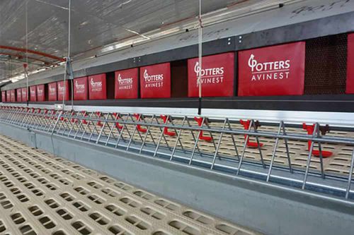 Система гнезд для несушек для кур - POTTERS POULTRY LTD - двухуровневая