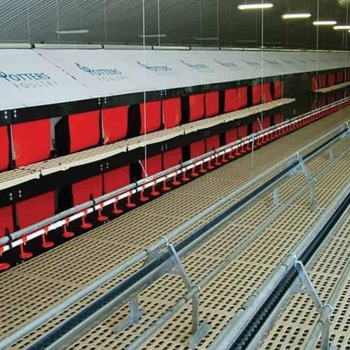 Система гнезд для несушек для кур-несушек - AVINEST - POTTERS POULTRY LTD
