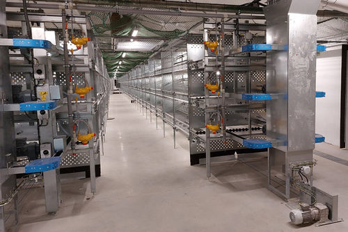 Система для разведения куриц-молодок в вольере - Compact - POTTERS POULTRY LTD - многоступенчатая