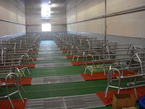 Решетчатый настил для сельскохозяйственного здания - Tri-bar - Cooperl Northern Europe B.V. - напольное покрытие для загона для молочного скота