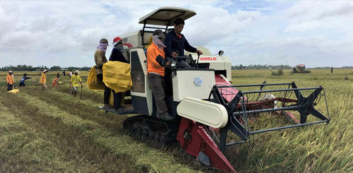 Уборочная машина для риса - Ruilong 4LZ-4.0E - Jiangsu WORLD Agricultural Machinery Co., Ltd. - для установки на трактор