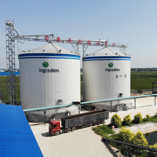 Зернохранилище с плоским дном - Dongying Fengtu Intelligent Storage Co., Ltd - для злаковых / для крупы / для пшеничных отрубей