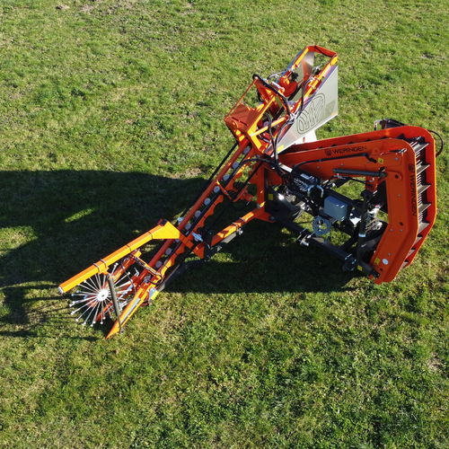 Уборочная машина с транспортером - WERINEGN RVE-1 with transporter - Weringen - для моркови / для свеклы / для пастернака
